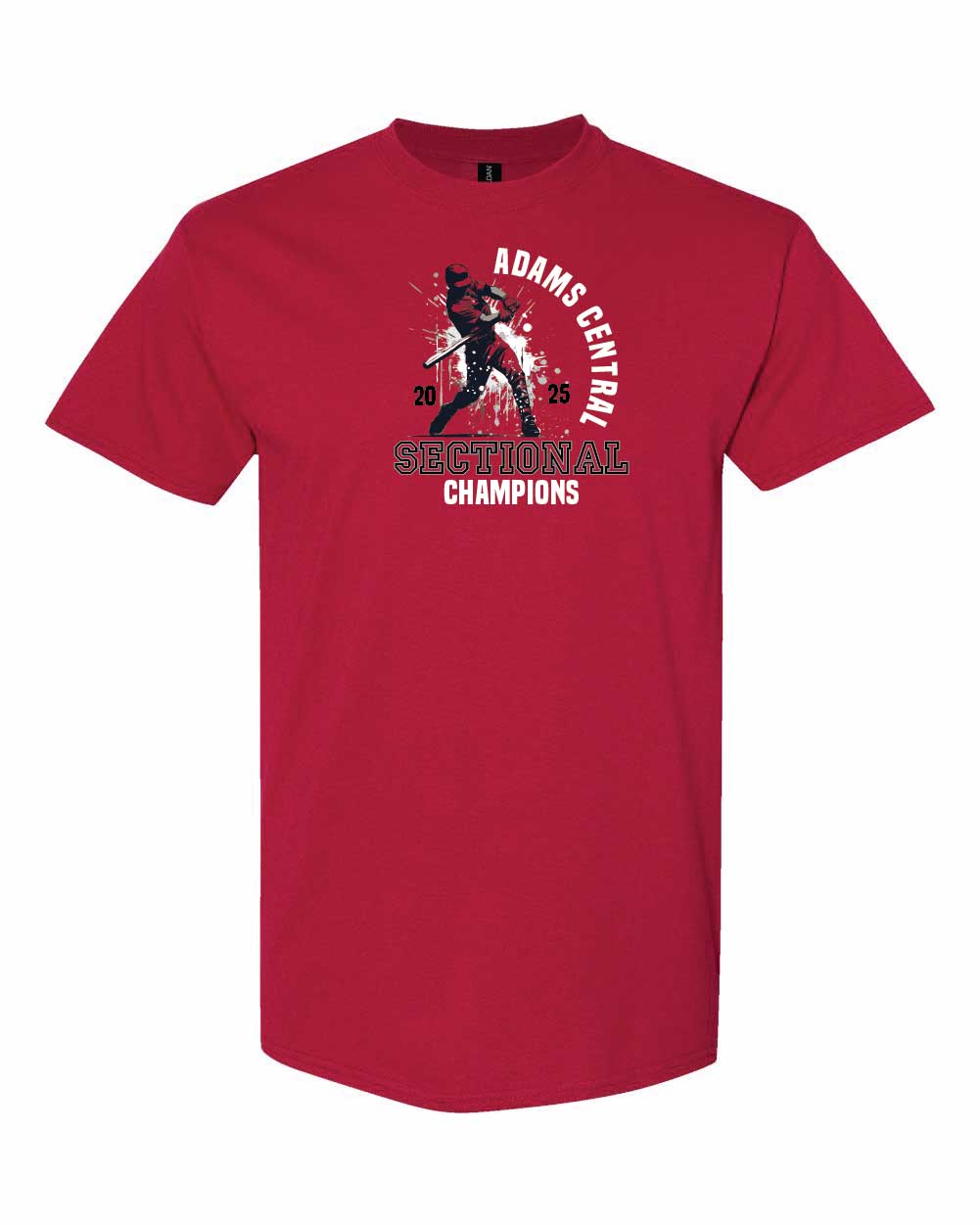 AC Baseball Sectional Champs t-shirt YOUTH