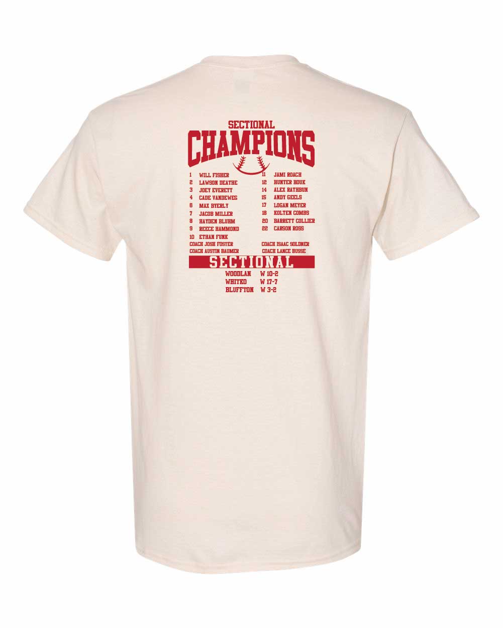 AC Baseball Sectional Champs t-shirt YOUTH