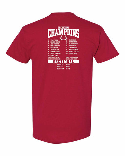 AC Baseball Sectional Champs t-shirt YOUTH
