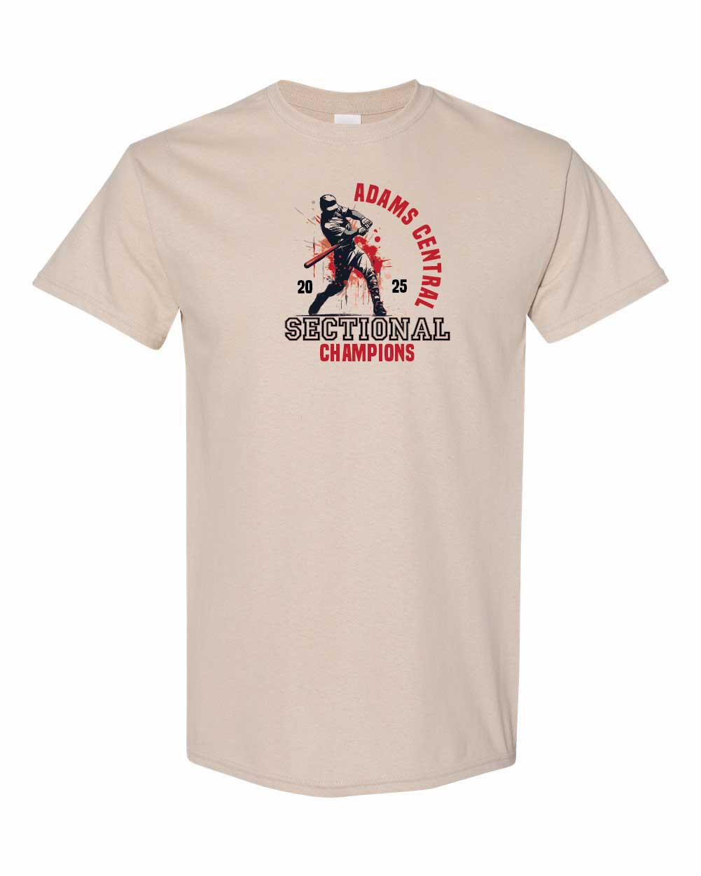 AC Baseball Sectional Champs t-shirt YOUTH