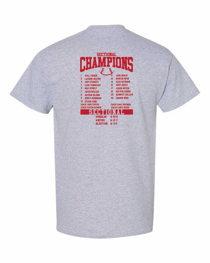 AC Baseball Sectional Champs t-shirt YOUTH