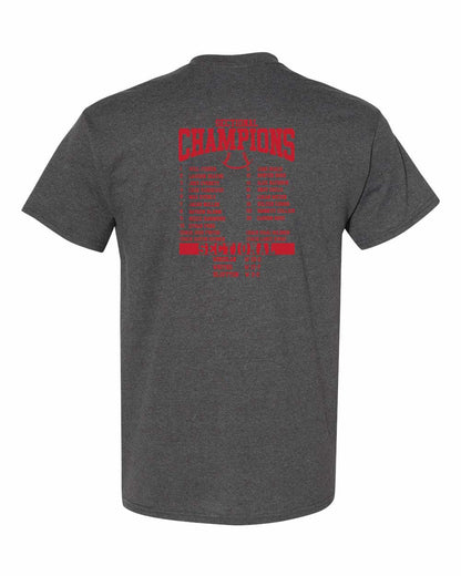 AC Baseball Sectional Champs t-shirt ADULT